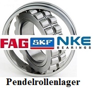 Pendelrollenlager