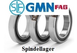 Spindellager