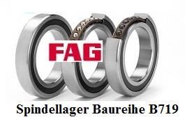 Spindellager B719
