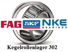 Kegelrollenlager 302