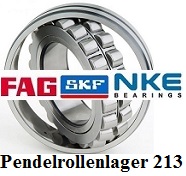 Pendelrollenlager 213