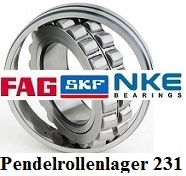 Pendelrollenlager 231