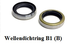 Wellendichtring B1 (B)