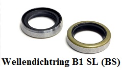 Wellendichtring B1 SL (BS)