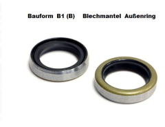 Wellendichtring 20x30x5 mm B1 (B)