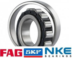 Zylinderrollenlager N309-E-TVP